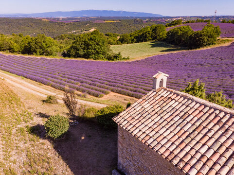 Lavender field and chapel at Entrevennes village, France. Aerial view