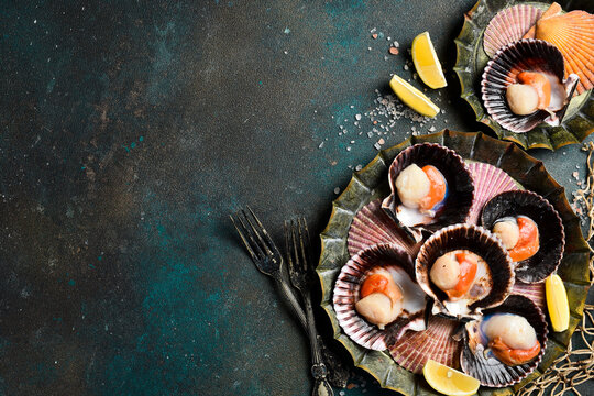 Seafood. Metal tray with Fresh Sea Scallops in shells. On a dark stone background. Top view.
