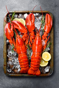 Two large boiled lobsters with lemon on a metal tray with crushed ice. Top view. Close-up.