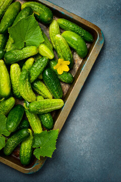 Fresh farm cucumbers, cucumber flowers and leaves in a metal vintage tray. Top view. Food concept.