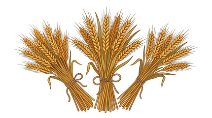 Fototapeta premium Three Tied Bundles of Golden Wheat Ears Illustration