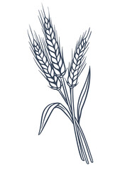 Fototapeta premium Wheat Bundle Hand Drawn Doodle