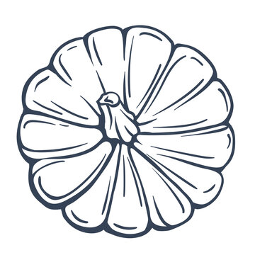 Pumpkin Top View Hand Drawn