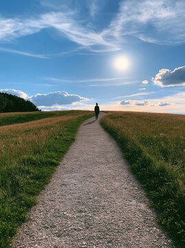Lone figure walks down a scenic gravel path through golden grassy fields towards a bright sun on a clear day.