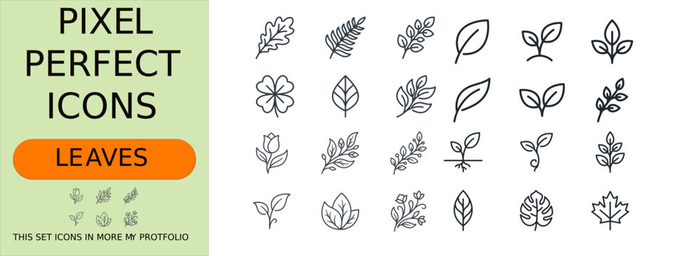 Leaf and Eco Icon Set, Maple Leaf, Oak Leaf, Vegetarian Symbol, Organic Food, Green Environment, Natural Product, Sustainability and Minimal Outline Vector Icons