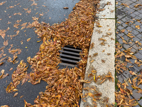Autumn leaves on a footpath clogging the storm drain cover.
