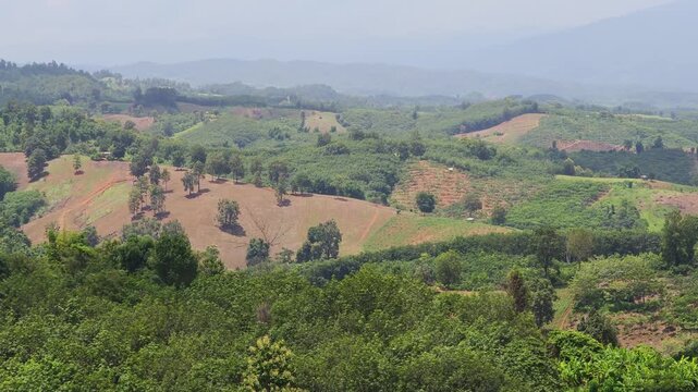 Bald Mountain with Hillside Agriculture