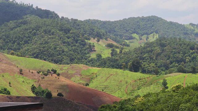 Bald Mountain with Hillside Agriculture