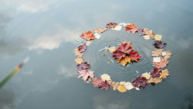 Beautiful autumn leaves arranged in a circle floating on calm water surface creating natural mandala pattern