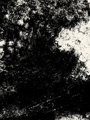 Obraz premium Organic Weathered Black Texture