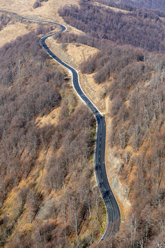 View of the winding asphalt road through the Stara planina mountain range, surrounded by bare autumn trees and dry grass in Babin zub, Pirot District, Serbia.
