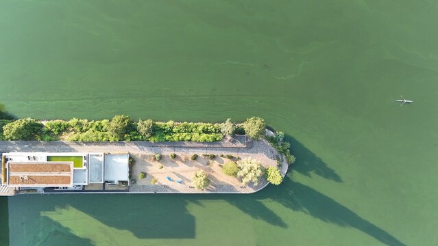 Aerial view of Westhafen Mole featuring a modern building with a green roof, landscaped park area with trees, and a small boat on the river, Frankfurt am Main, Hessen, Germany.