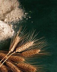 Fototapeta premium Close-up of Golden Wheat Stalks and Flour Pile on Dark Green Textured Surface