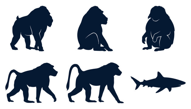 Wild Primate and Marine Wildlife Silhouette Vector Set Featuring Mandrill Baboon Gorilla and Shark Graphics for Nature and Zoo Theme Designs