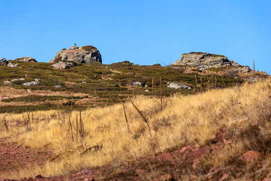 View of the rocky landscape of Stara planina with dry yellow grass and clear blue sky in Babin zub, Pirot District, Serbia.