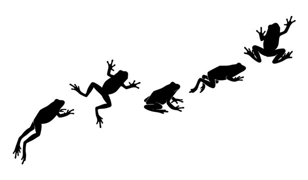 Dynamic frog movement silhouettes jumping swimming and climbing black vector set