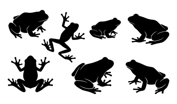 Frog silhouette collection with varied amphibian shapes and poses black vector set