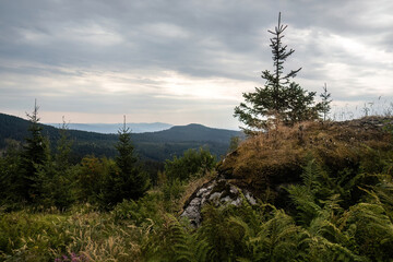 Panoramic View from Kleiner Arber Mountain over Forested Hills of the Bavarian Forest in Bavaria, Germany in Summer © Annabell Gsödl