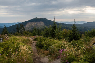Hiking Trail to Kleiner Arber with View of Grosser Arber Mountain in the Bavarian Forest, Bavaria, Germany in Summer © Annabell Gsödl