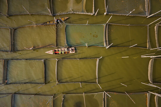 Aerial view of traditional fish farming nets in Lake Rawa Pening with a small wooden boat navigating through the water, Waduk Rawapening, Central Java, Indonesia.