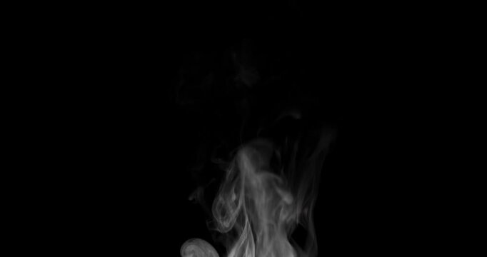 White hot steam rising slowly on a isolated black background. Real smoke or vapor curls flowing smoothly upward. Abstract slow motion mist texture overlay for video design or food background.