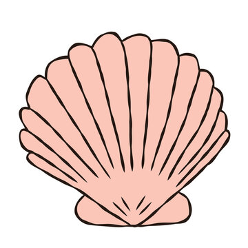 Hand Drawn Pink Scallop Seashell Clipart