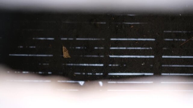 Water Reflection Through Wooden Bridge Slats with Ripples and Water Strider. Minimal. Copy Space.
