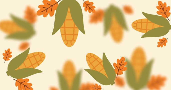 abstract background pattern with blurry corn cobs in autumn