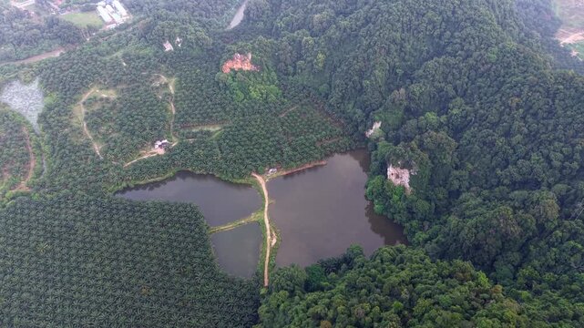 Drone captures calm lake surrounded by lush greenery at Kampar, Perak
