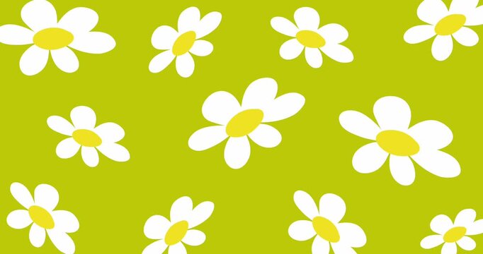 cheerful white daisies pattern on vibrant lime green background