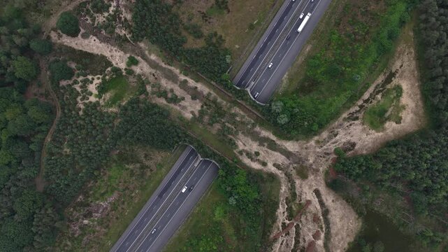 Aerial top down view of a green wildlife passage connecting natural habitats across transport infrastructure, supporting biodiversity and ecological connectivity.