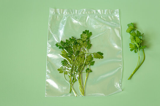 Fresh parsley preserved in vacuum bag on green background