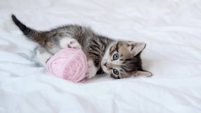 A small tabby kitten playing and rolling with pink yarn on a cozy white bed, pet care, veterinary, cat adoption, playful pet scene, cute animal moment.