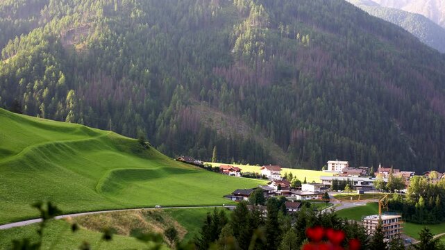 Green alpine meadows surround Kals village in Austria, backed by dense mountain forest and high slopes. Scenic rural landscape shows Tyrolean nature, farming, tourism and peaceful summer countryside