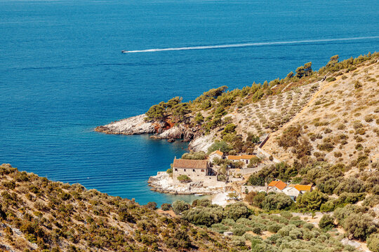 View of historic stone buildings nestled in a coastal cove surrounded by olive groves and Mediterranean vegetation in Hvar, Split-Dalmatia County, Croatia.
