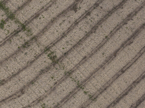 Aerial view of dry, cracked agricultural soil with parallel planting rows and sparse green vegetation in Fermo, Marche, Italy.