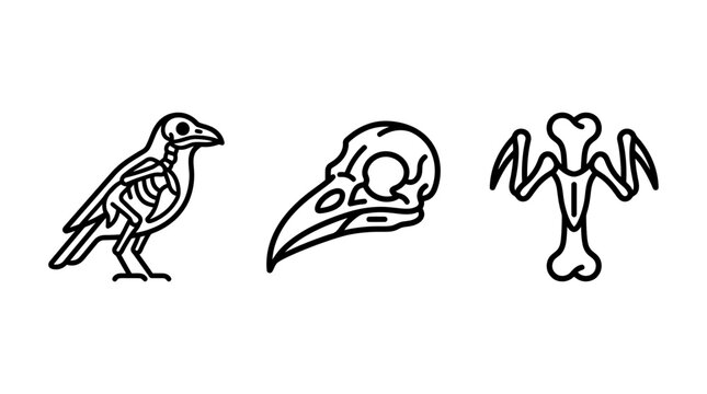 Halloween skeleton icon collection featuring a bird skeleton a crow skull close-up anatomical crossbones in minimalist outline vector style skeleton halloween crossbones creature mystical