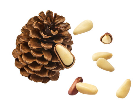 Fresh raw pine nuts flying in the air isolated. Food levitation concept.