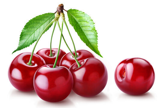 Five cherries clustered on long stems with two leaves and one separate cherry placed beside them isolated on transparent background.