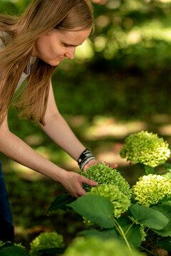 Blind woman exploring a blooming flower by touch in a park