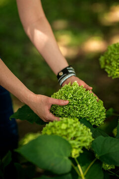 Close-up of a blind woman's hand exploring a blooming flower by touch in a park