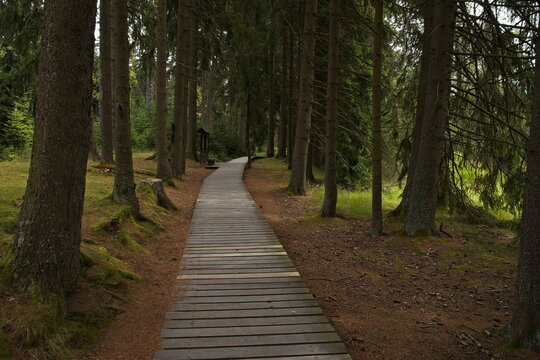 Nature studies path in Kladske raseliny, Slavkovsky les, Czech republic,Europe
