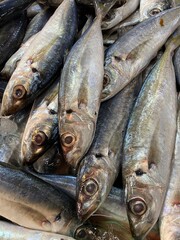 Obraz premium fresh fish on the market, sarden fish