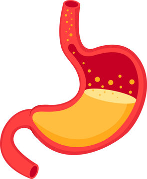 gas bubbles in intestines bloating stomach illustration