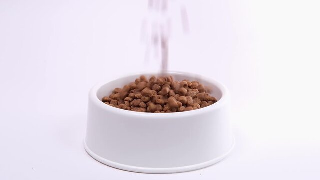 Nutritious dry pet food falling into a white bowl, veterinary medicine, pet food market, online shopping, feeding time for cats, healthy animal diet, kibble snack.