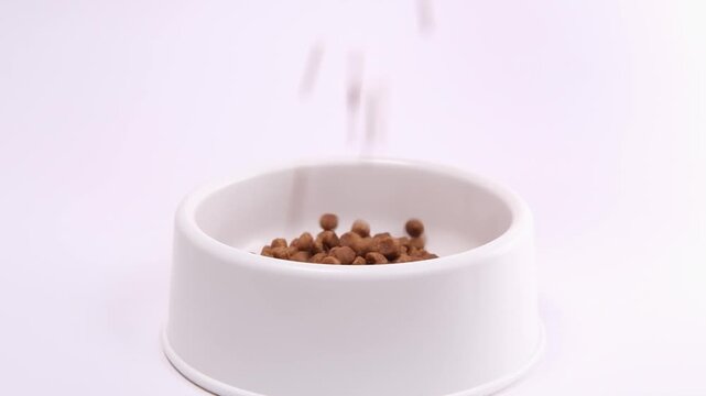 Dry cat food drops into a white bowl on a bright studio background, veterinary care, pet supplies e-commerce, animal nutrition, feeding time, kibble meal.