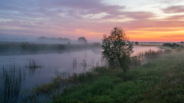 A serene river winds through a misty green landscape under a vibrant pink and orange dawn sky with a single prominent tree