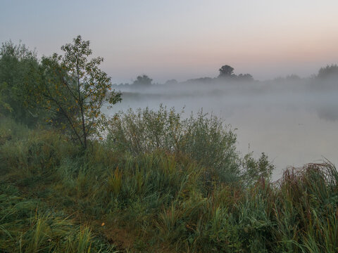A misty river landscape at dawn features lush green banks, scattered trees, and dense fog rolling over the calm water