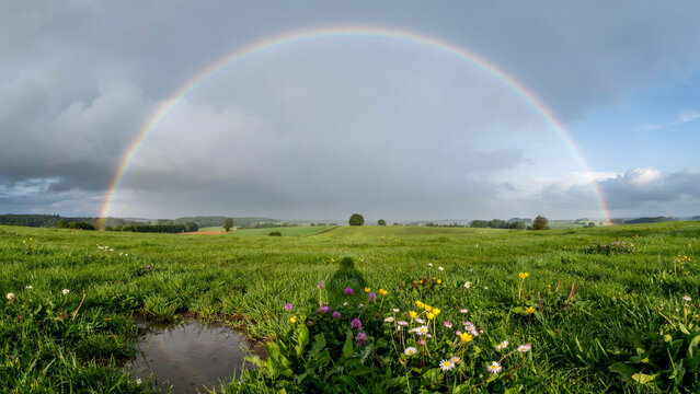 Full spectrum rainbow arching over a lush green meadow with wildflowers and a reflection in a small puddle during a spring storm landscape