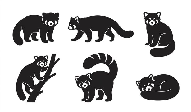 Red Panda Silhouette Vector Set, Realistic Lesser Panda Wildlife Animals in Walking, Sitting, Climbing and Resting Poses, Editable Black Animal Shapes for Nature, Zoo, Conservation and Education Desig